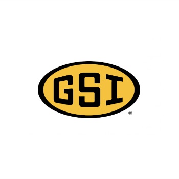 Logo GSI