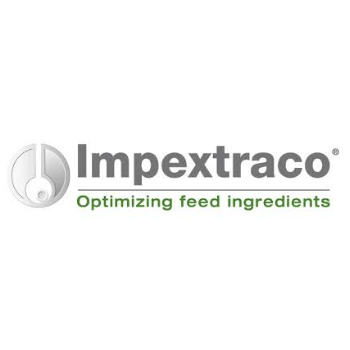 Logo Impextraco